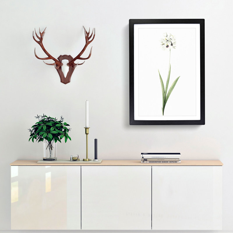 African Corn Lily Flowers by Pierre-Joseph Redoute - Single Picture Frame Painting, 45cm H x 33cm W x 2cm D, Black Framed