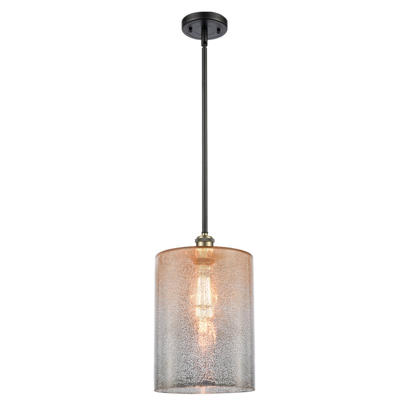 Luminaire suspendu cylindrique à 1 lumière Leilani, Ampoule non incluse, Mercure, Laiton antique noir