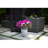 Acerra Composite Vase Pot Planter