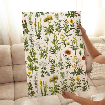 «Botanical Wildflower & Botanical I Cottage», reproduction d'art non encadrée