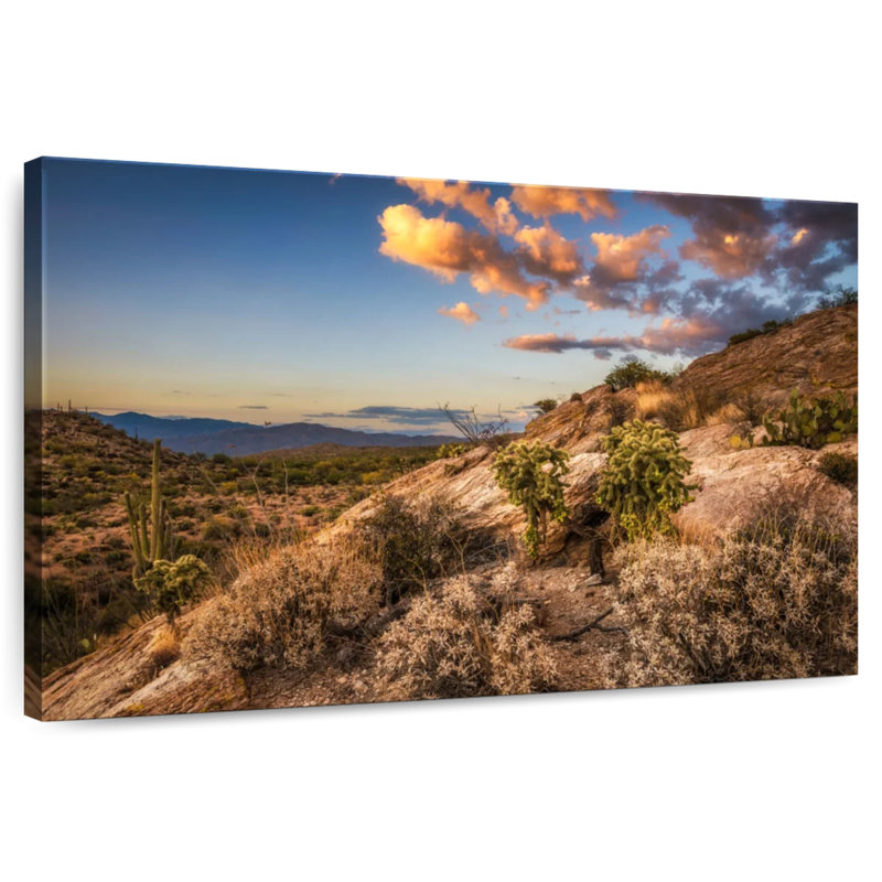 Désert de cactus Alvord Saguaro Park, H 34 po x l 51 po