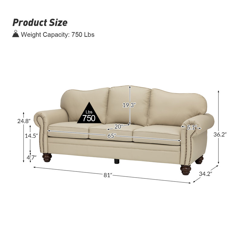 Damore 81'' Wide Genuine Leather Sofa, Beige