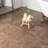 Vecchio 19" x 19" Parquet Pattern Porcelain Wood Look Wall & Floor Tile-65507688