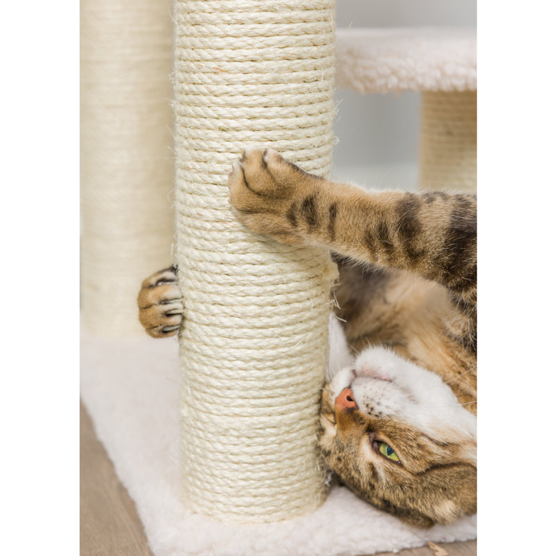 Arbre à chat classique en bois véritable de 53 po de hauteur recouvert de molleton