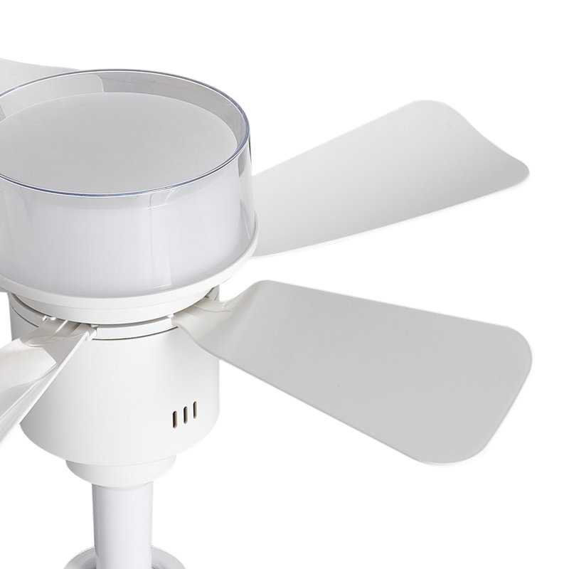Ceiling Fan with LED Lights, White