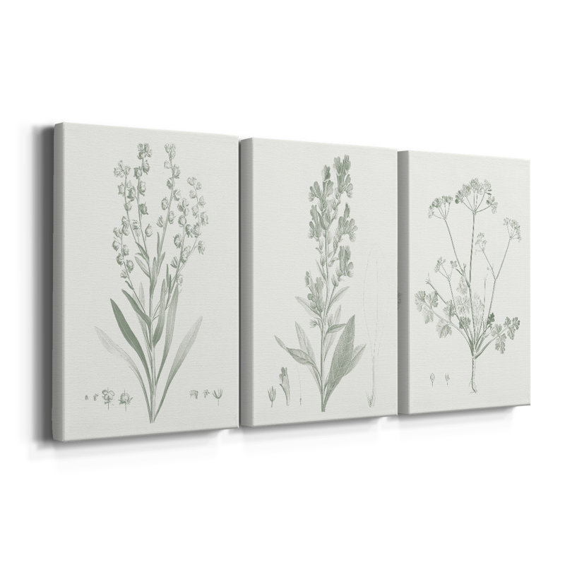 Botanical Study in Sage I - Toile tendue avec châssis sur mesure - 3 pièces, H 12 po x l 24 po