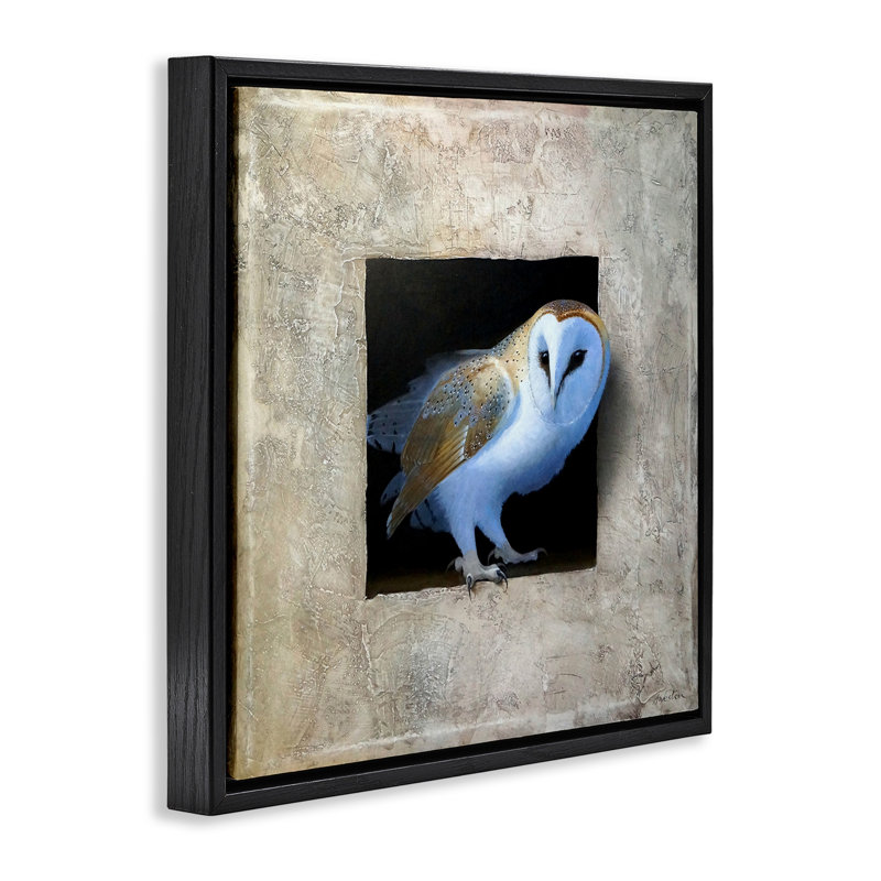 Hibou mystérieux peering, Cadre flottant noir de jais, H 18 po x l 18 po