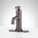 Greyfield 1.2 GPM Single Hole Bathroom Faucet with Metal Lever Handle and Pop-Up Drain Assembly