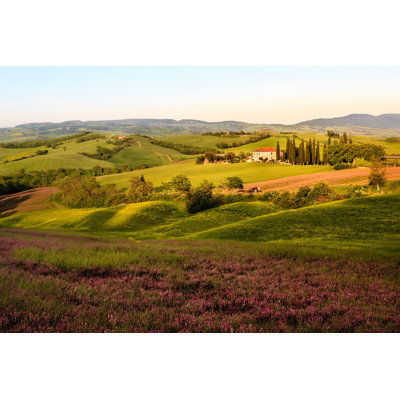 " Landscape In The Tuscany " by Manu10319