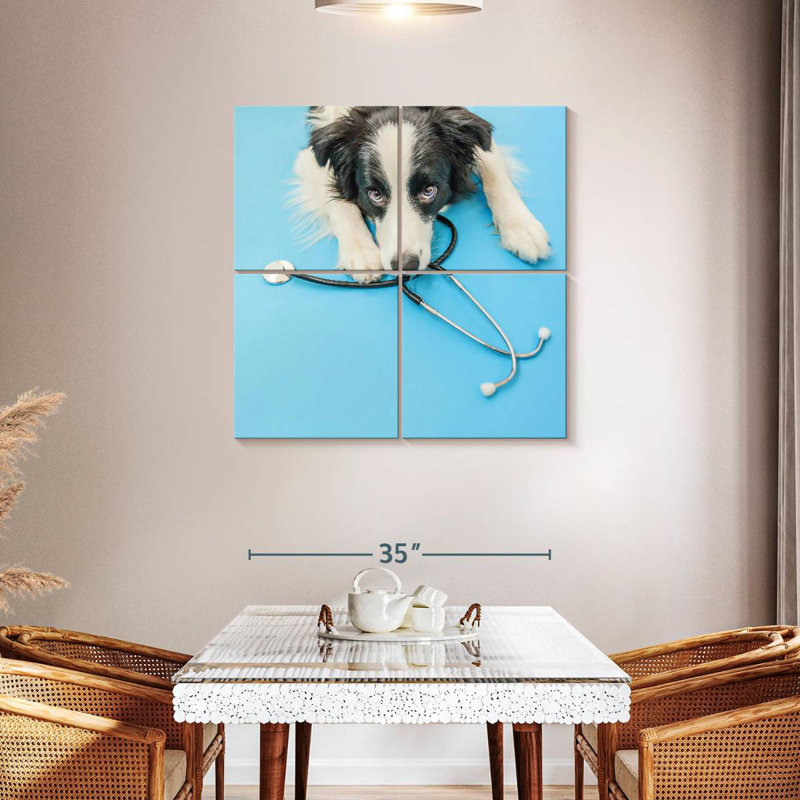 Brampt Dog Doctor