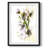 After Rain IV -Framed Print-212430469