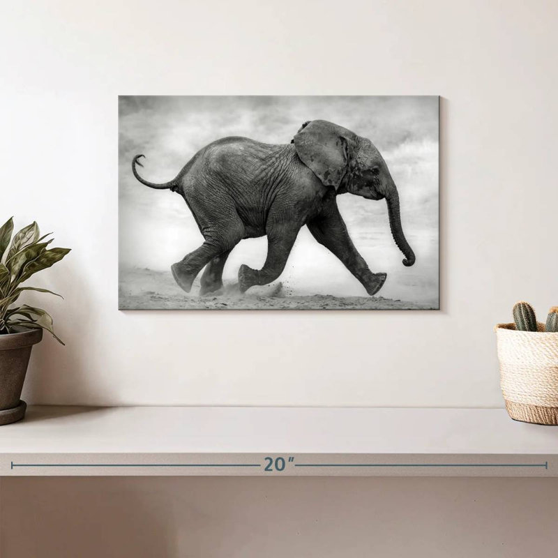 Bébé éléphant Brampt qui court, H 8 po x l 12 po