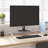 Langmesser Monitor Stand-88525633
