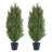 Shirlene Faux Cedar Tree Topiary in Pot-91855033