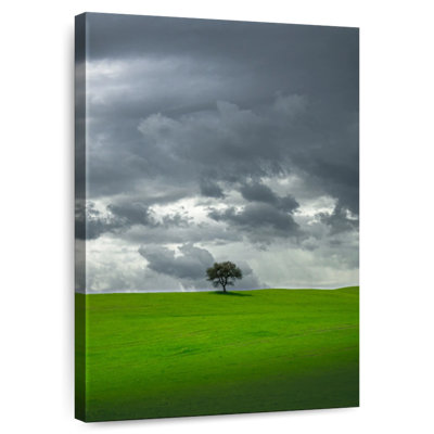 Aime l'arbre
