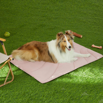 Nylon Pet Bed
