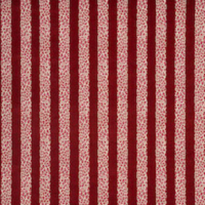 Schumacher x Timothy Corrigan Guepard Stripe Velvet Fabric