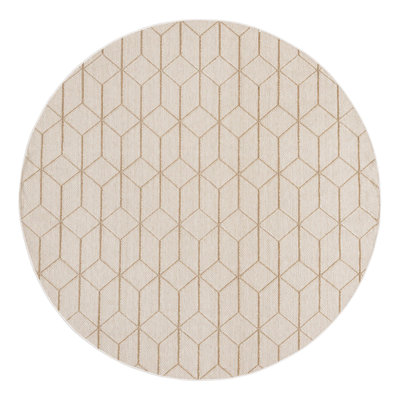 Indoor/Outdoor Trellis Area Rug