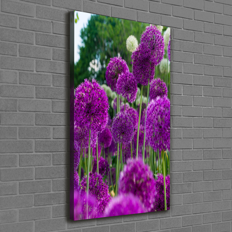 Garlic Flowers - Wrapped Canvas Print