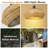16'' 2-Light Rattan Pendant Light