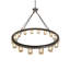 16 - Light Chandelier