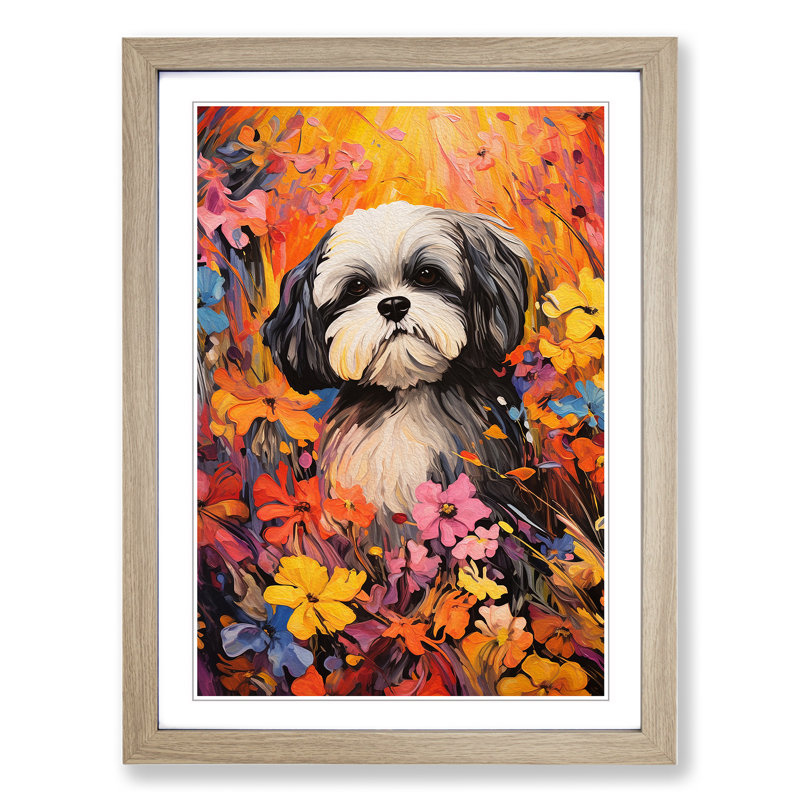 Shih Tzu Colour Field No.2 - Framed Print, Oak, 46cm H x 34cm W x 2cm D