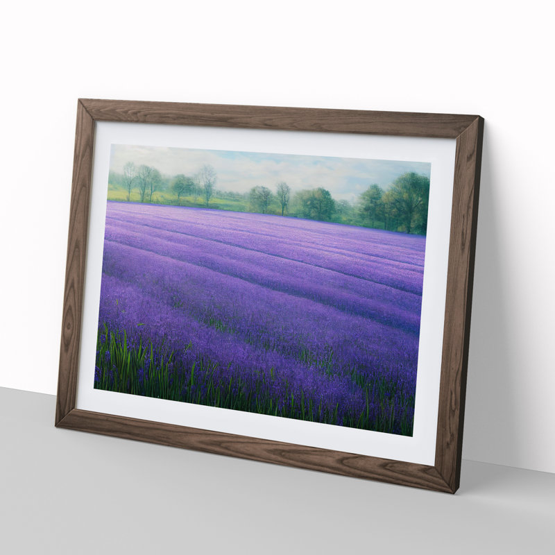 XH1022-7281X Radiant Bluebell Field - Single Picture Frame Print, 46cm H x 64cm W, Walnut