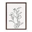 Reproduction d'art botanique sur toile, "No 2" par The Creative Bunch Studio-1290304000-1291211445
