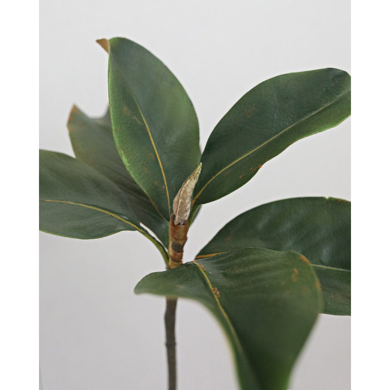 Feuilles de magnolia artificielles 35,5 cm