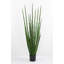 Kentia Palm Tree with Pot-2144567599