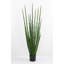 Kentia Palm Tree with Pot