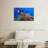 Brampt Royal Angelfish-107850764
