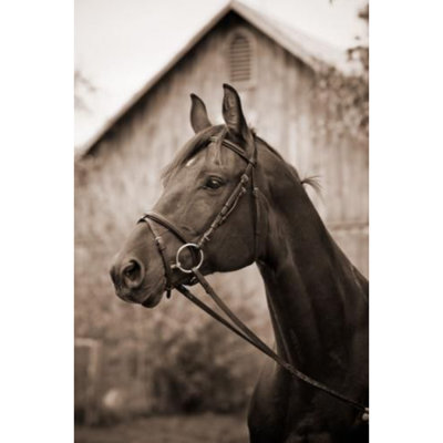 Barn & Bridle - Wrapped Canvas Art Prints