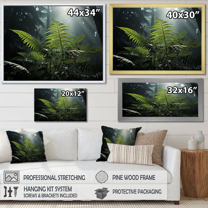 " Ferns Close Up Photo VII ", 24" H x 32" W, Cadre flottant doré