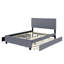 Grand lit plateforme avec revêtement gris. 2 tiroirs et lit gigogne simple TG Solide. Optimisez le rangement et le détail de la chambre à coucher. Fabrication. Disposition-130155325