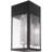 Dzanna Solid Brass Wall Light