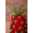 CERAMIC STRAWBERRIES VASE