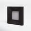 Daniel Black Horn Matte Picture Frame