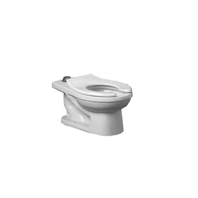 Proflo 1.28 Gallons GPF Elongated Floor Mounted One-Piece Toilet (Seat Not Included)