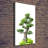Bonsai Tree - Wrapped Canvas Print