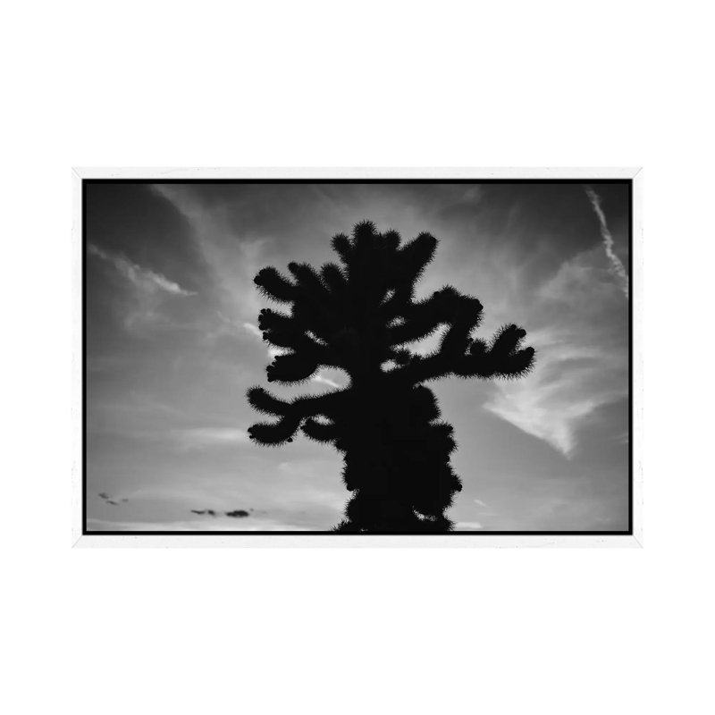 Cholla Cactus Garden XV by Bethany Young - Print on Canvas, 66.04cm H x 101.6cm W x 3.81cm D, White Framed