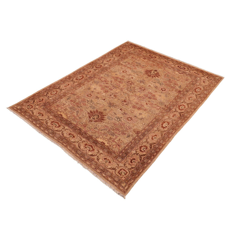 Tapis brun clair en laine noué à la main 6 pi 4 po x 9 pi Baccio