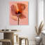 Amber Radiance I Print by Oliver Gal-337204737-337204759