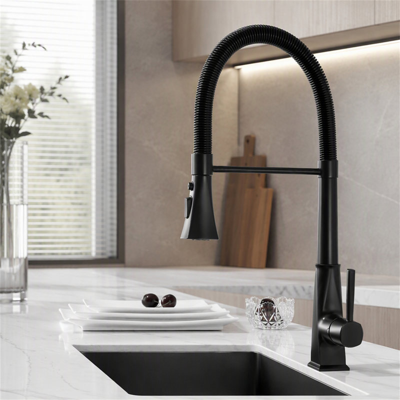 ROBOHIGH Kitchen Faucet Side Spray
