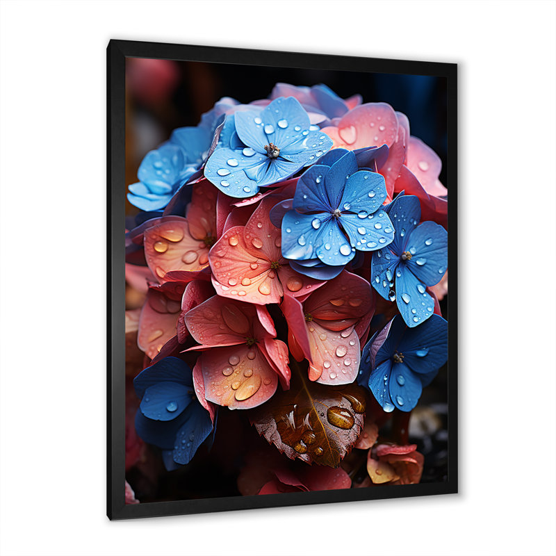 Mélange d'hortensias en fleurs avec arc-en-ciel, Cadre photo noir simple, H 32 po x l 16 po x P 1 po