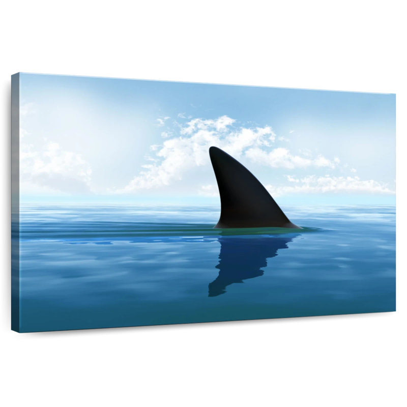 Crowle Shark Fin, 16" H x 24" W