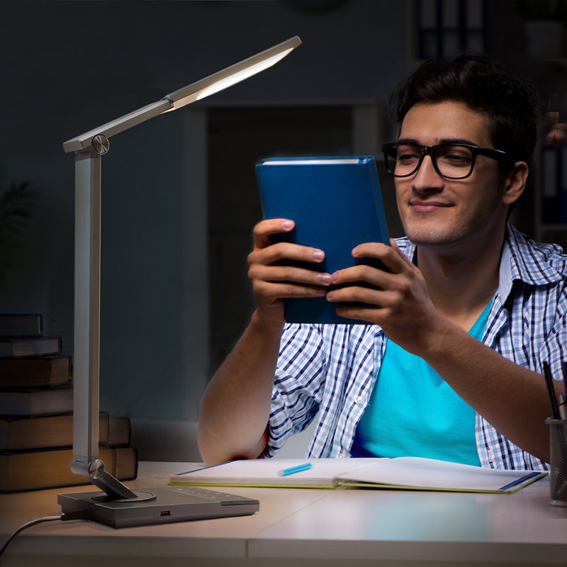 Lampe de bureau 17,2 po argent USB