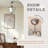 11.42" Simple Shell-Shaped 3-Color Ceiling Light – Minimalist Dimmable Lighting
