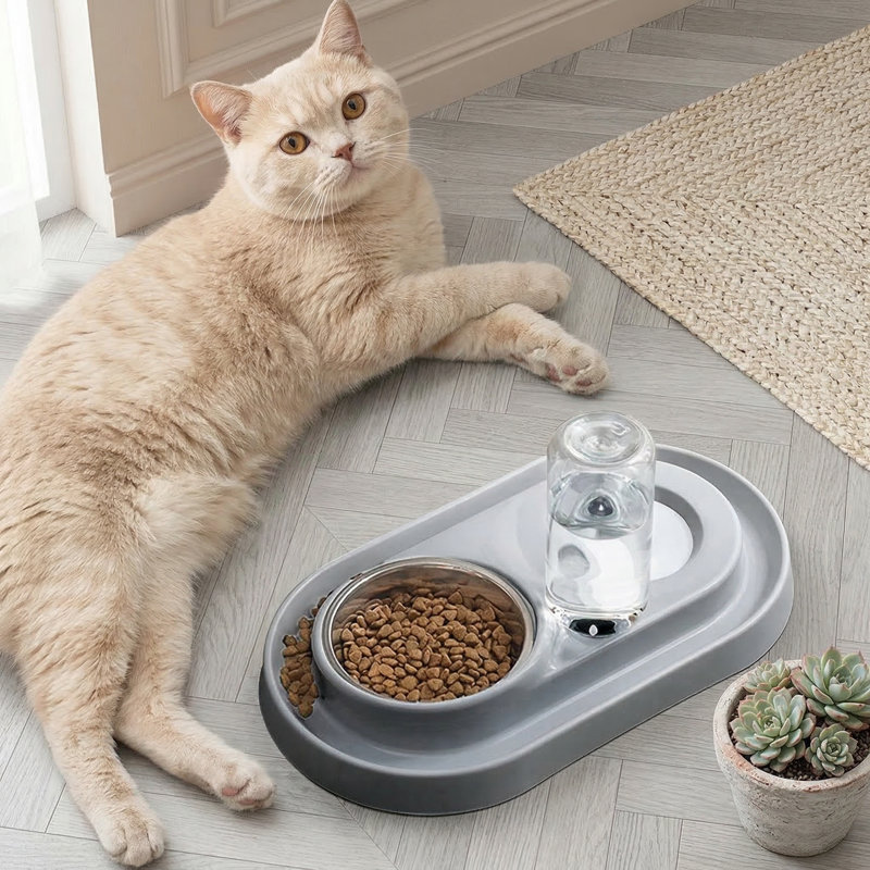 Double bols en acier inoxydable pour chien et chat avec distributeur d'eau automatique, 500 ml chacun, pour petits / moyens animaux de compagnie, rose / bleu / gris