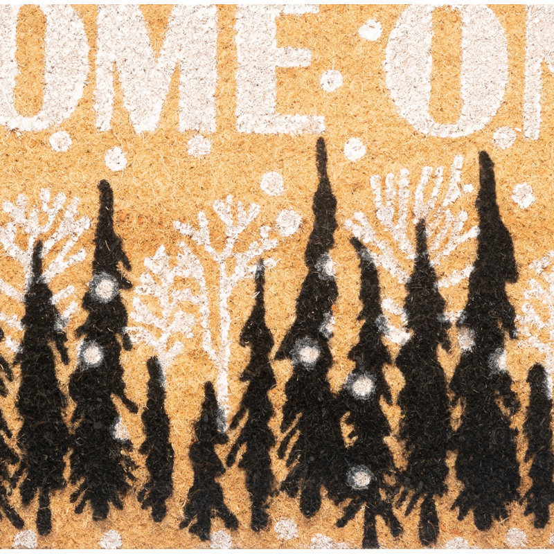 Adasynn Non-Slip Outdoor Doormat
